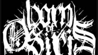 Born of Osiris - Brace Legs - 8 Bit