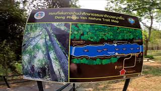 น้ำตกเจ็ดสาวน้อย