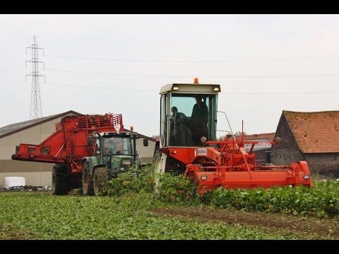 Landb. Casteele - Geluwe
