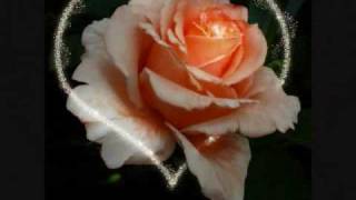 mariposas en la panza de Santiago Cruz.wmv