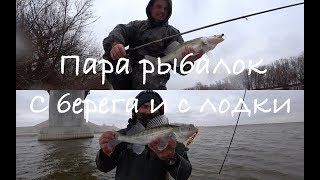 Graphiteleader vivo ex 842 m