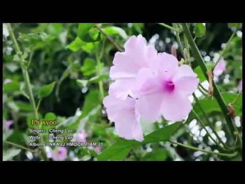 15 xyoo by cheng lo 2018