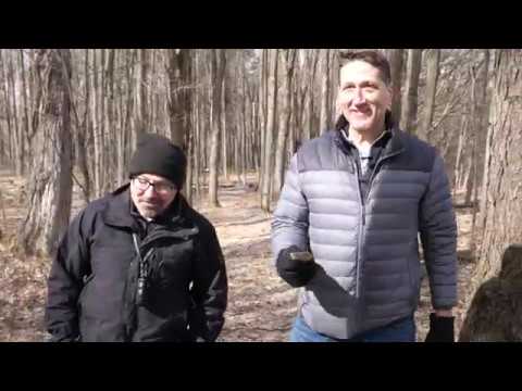 Wood Spring Club 2019 - Video