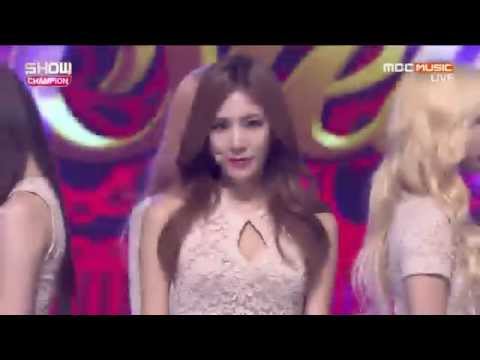 Stellar 1st Week of August Show Champion (8/5/2015)