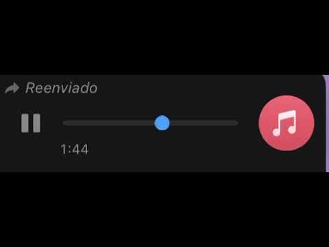 Canción a Corpus Christi, PY 💗