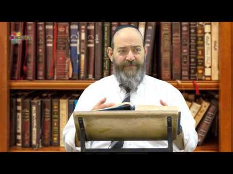 Parshat Vayishlach: War Time - Rabbi David Kaplan