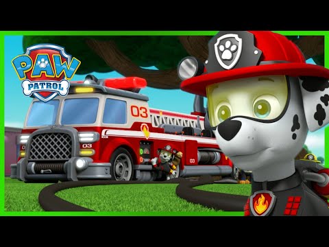 Mais de 1 hora de episódios do Resgate Especial e mais - Patrulha Pata PAW Patrol Episódio Português
