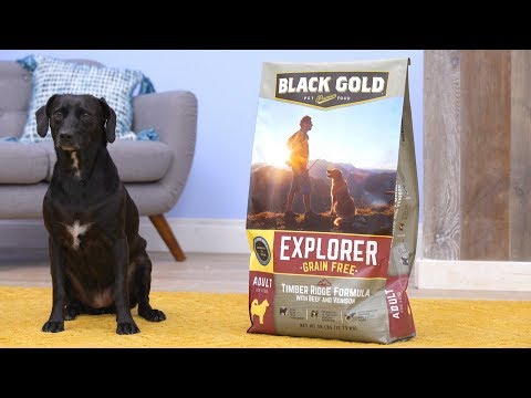 download lagu mp3 mp4 Black Gold Puppy Food, download lagu Black Gold Puppy Food gratis, unduh video klip Black Gold Puppy Food