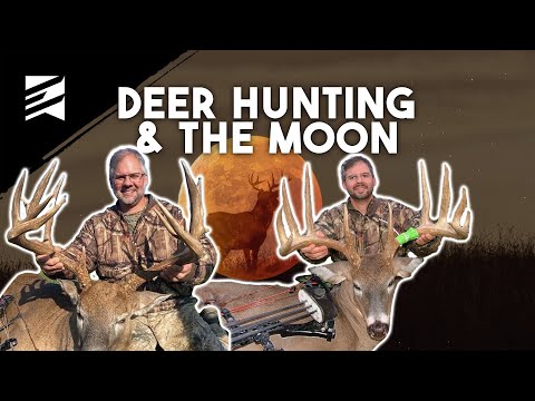 How To Hunt Each Moon Phase with Ryan Springer!
