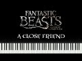 Fantastic Beasts 1 - A Close Friend (Synthesia Piano)