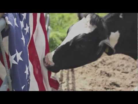 Weekend America video