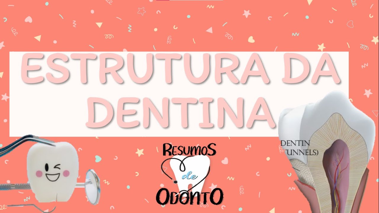 ENTENDA A ESTRUTURA DA DENTINA | RESUMOS DE ODONTO