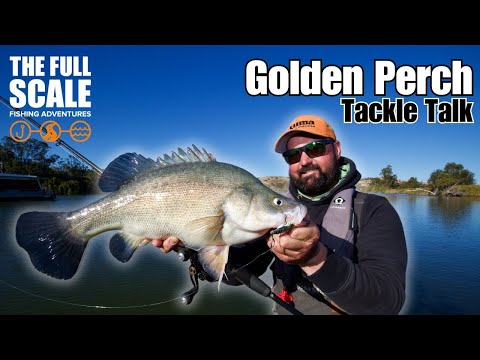 Golden Perch Tackle Talk | The Full Scale