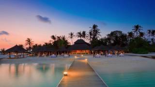 Levitation - More Than Ever People