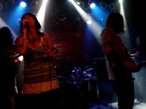 iwrestledabearonce - tastes like kevin bacon