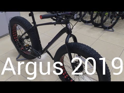 download lagu mp3 mp4 Argus Sport Mongoose, download lagu Argus Sport Mongoose gratis, unduh video klip Download Argus Sport Mongoose Mp3 dan Mp4 Free All Gratis