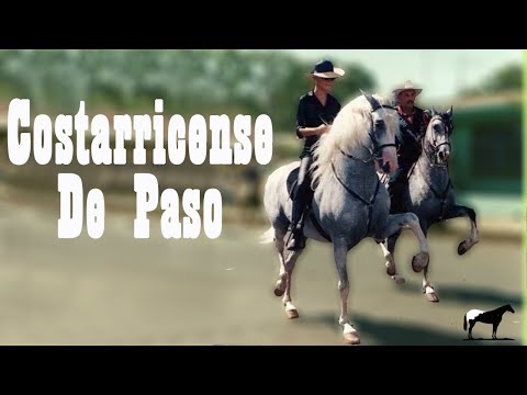 , title : 'Caballo De Patrón "Costarricense De Paso" (Los Que Usan Los Cantantes) 🐴-Del Cerro Soy'