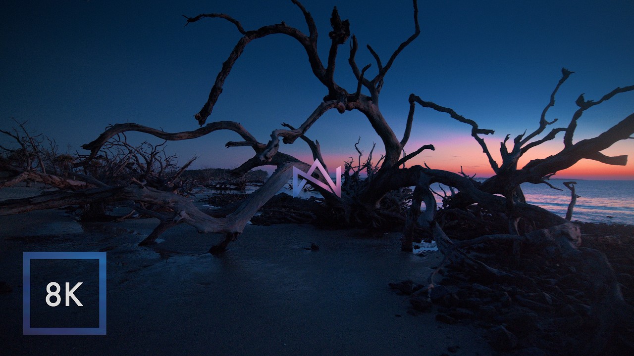 Relaxing Morning Ocean Sounds at Driftwood Beach / Sunrise Walk / 8K HDR