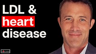Is LDL Cholesterol Really The Bad Guy?