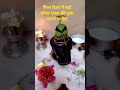 किस दिशा में बैठकर शिवलिंग की पूजा करनीचाहिए#shorts #viral#youtubeshorts #shiv#puja#mandir#bholenath