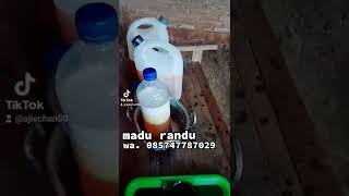 Download lagu grosir madu asli randu pati #kurma #maduasli #maduherbal #madusarang #alami #habbatussauda #honey mp3 Download lagu grosir madu asli randu pati #kurma #maduasli #maduherbal #madusarang #alami #habbatussauda #honey mp3