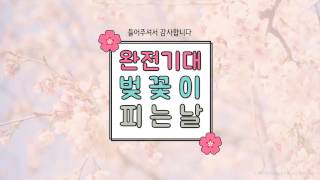 2017 cherry blossom powerpoint template design