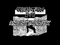 Operation Ivy - Vulnerability ( Lyrics Video )