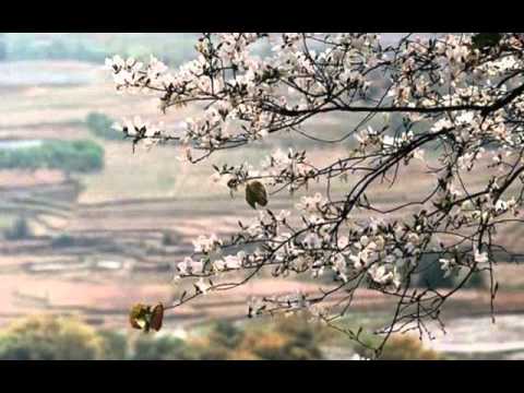 Tình tan theo bốn mùa - Ngọc Anh