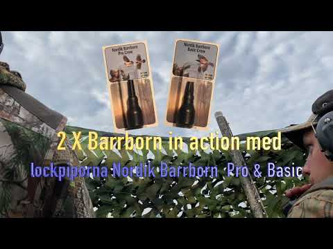 Kråkjakt/Svartfågeljakt   Crowcall   Locka Kaja med Barrborn Pro!   Barrborn X 2 in action!