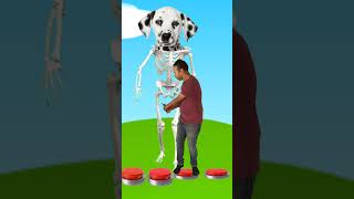 Download lagu I jump on to colour rotating ball to cow, dog, Siren head, monster zombie #shorts #youtubeshorts mp3 Download lagu I jump on to colour rotating ball to cow, dog, Siren head, monster zombie #shorts #youtubeshorts mp3