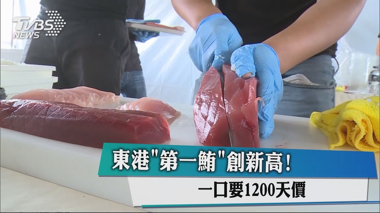 東港「第一鮪」創新高! 一口要1200元天價