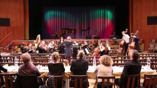 preview picture of video 'Komorní orchestr ZUŠ Liberec - Irská suita (Semily 03-2015)'