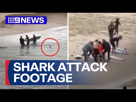 Footage released of bystanders saving a teenage boy after shark attack | 9 News Australia