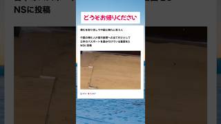 #高市総理 #小泉大臣 #小野田紀美 #片山さつき #国民民主党 #玉木代表