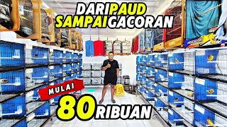 Download lagu Review KENARI MURAH‼️Mulai 80ribuan dari PAUD sampai GACORAN... mp3 Download lagu Review KENARI MURAH‼️Mulai 80ribuan dari PAUD sampai GACORAN... mp3