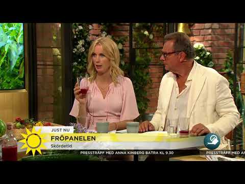 Här är "världens godaste tomat" - smakar som godis - Nyhetsmorgon (TV4)