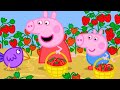 The Strawberry Farm Peppa Pig Official Full Episodes