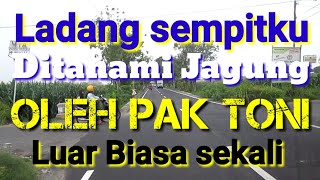 Download lagu Namakku marni ll cerpen romantis bikin  baper mp3