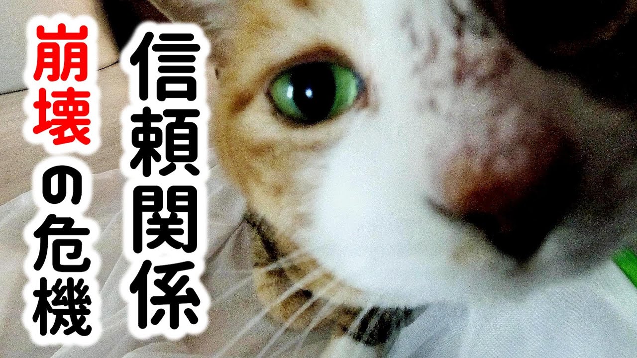 もうすぐ築き上げてきた信頼関係が崩壊してしまうかもしれません・・・