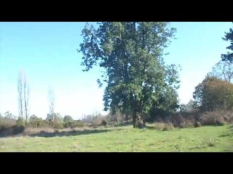 Quemando Tinta año 2015 portal de la frontera.