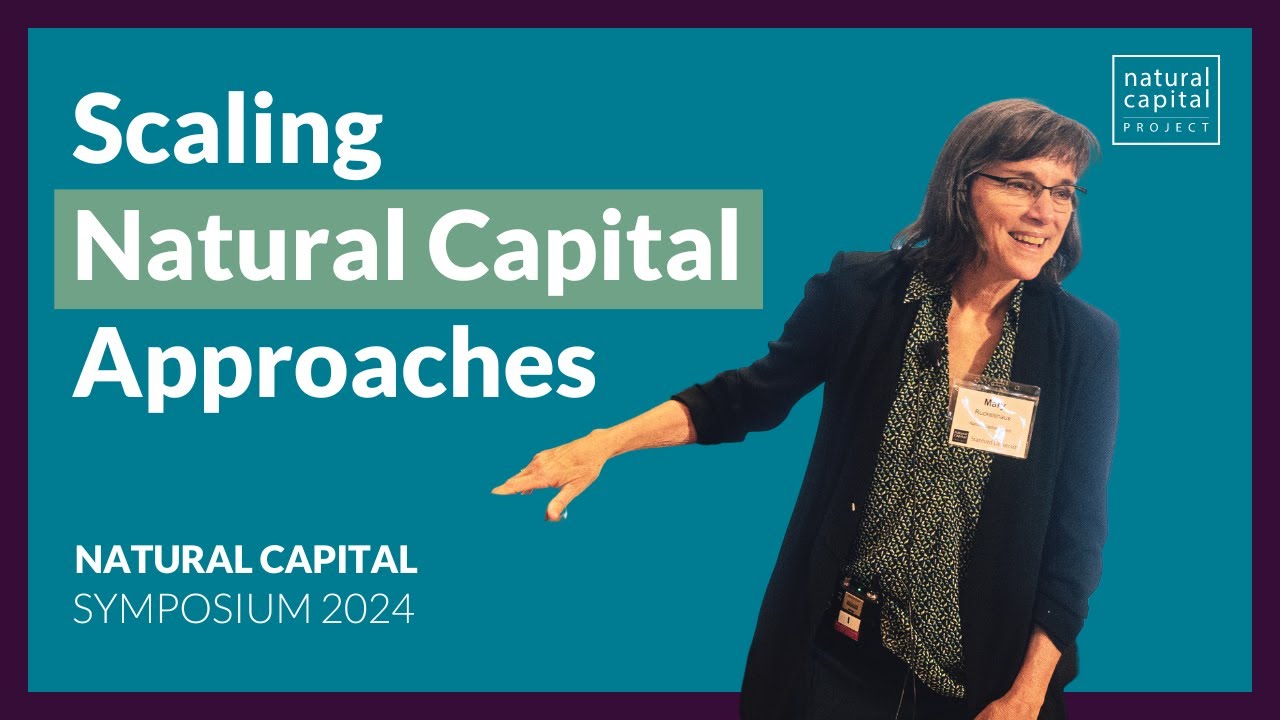 Scaling Natural Capital Approaches Through MDBs | Natural Capital Symposium 2024