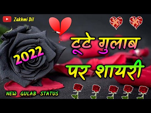 Tute Gulab per shayari 💔 टूटे गुलाब की शायरी 2022 की 🌹 zakhmi Dil Gulab shayari 2022 ki