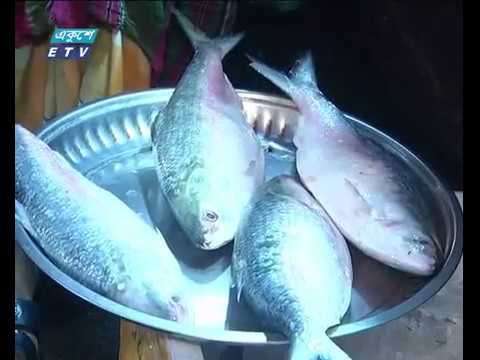 ভরা মৌসুমেও দাম কমছে না ইলিশের