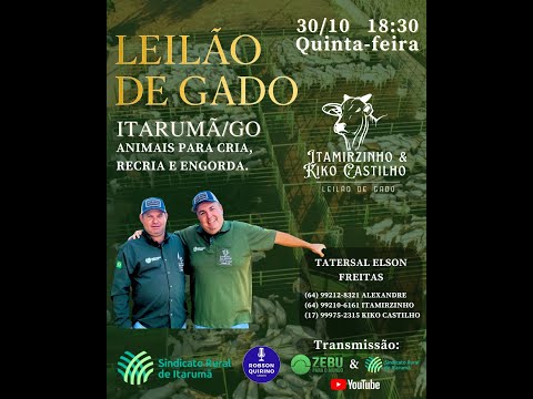 Leilão Parceria SR de Itarumã-GO, Kiko Castilho e Itamirzinho