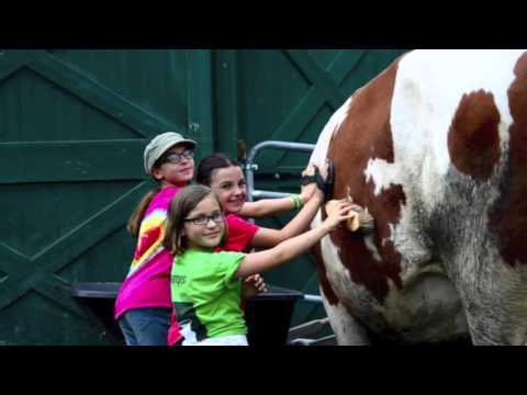Zimní bejvák pro zvířátka, letní hřiště pro děťátka