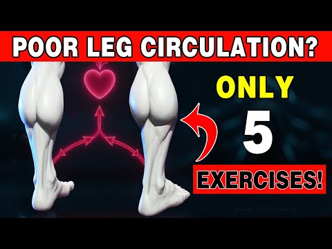 Over 50? Do THIS 1 Exercise for Poor Leg Circulation | Senior Wellness