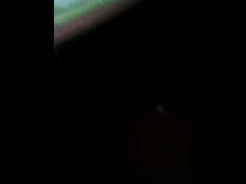 download lagu mp3 mp4 Hcvu, download lagu Hcvu gratis, unduh video klip Hcvu