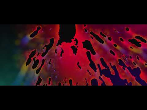 Daisy Kilbourne   Lost You (Official Lyric Video)