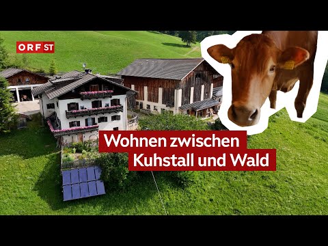 This is how South Tyroleans live: Mountain farm | South Tyrol Today from July 15, 2025