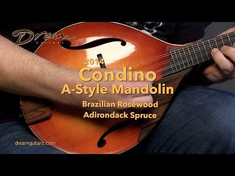 2014 Condino A style Mandolin, Brazilian Rosewood/Adirondack Spruce image 19